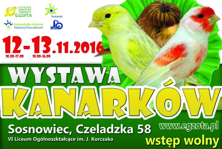 Wystawa kanarków